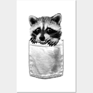 Raccoon Pocket Posters and Art